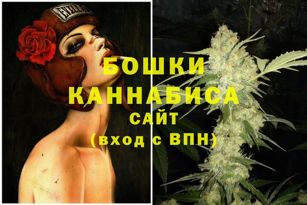 ешки Горняк