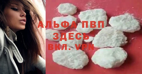 ешки Горняк