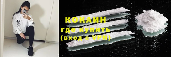ешки Горняк