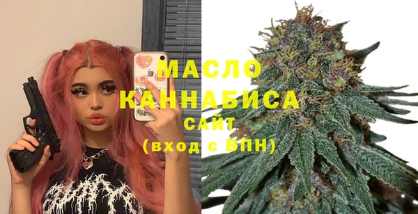 ешки Горняк