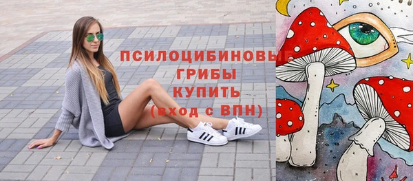 соль ск Горно-Алтайск