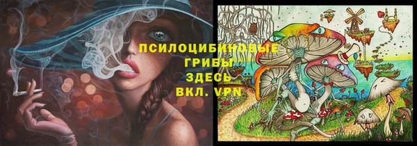 альфа пвп Горнозаводск