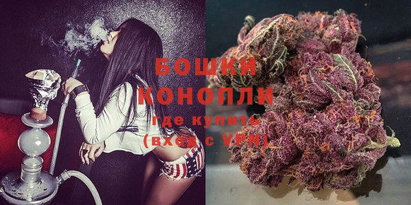 альфа пвп Горнозаводск