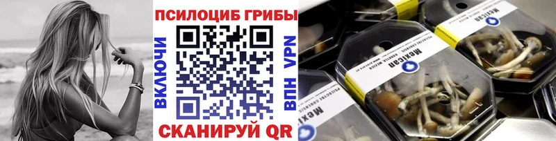 Купить где Белая Калитва Псилоцибиновые грибы MAGIC MUSHROOMS